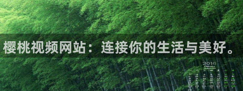 西瓜视频电视剧大全