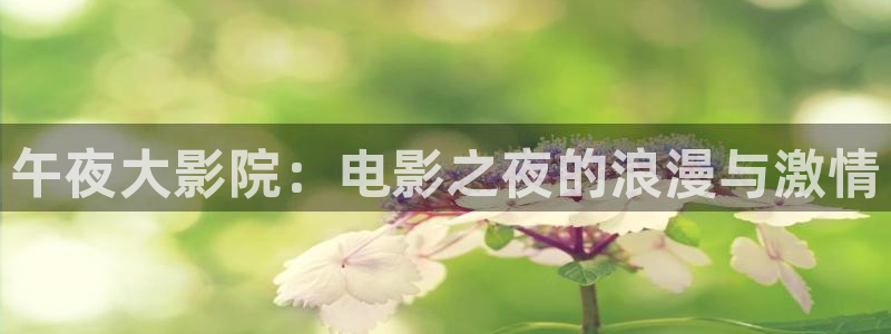 西瓜视频在线观看高清电影电视剧