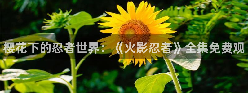 星空电影院今日电影