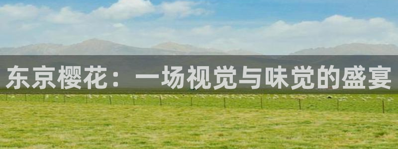 星空视频在线免费看