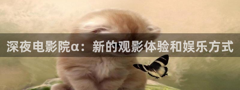 知否知否应是绿肥红瘦免费观看西瓜视频