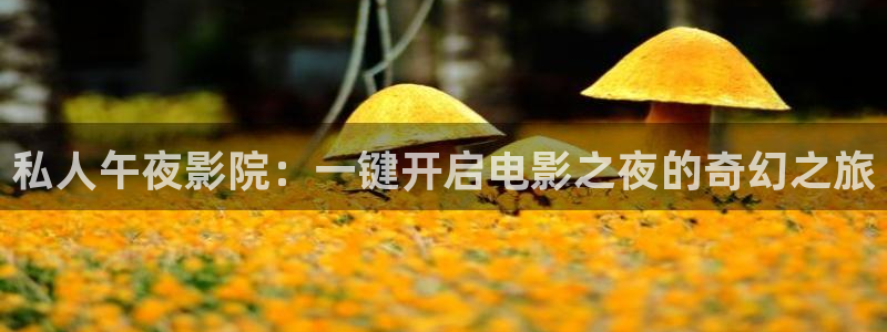 西瓜视频西瓜视频