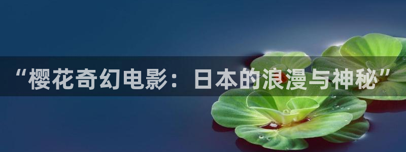 星空影视大全免费观看