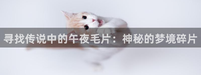 星空电影天堂
