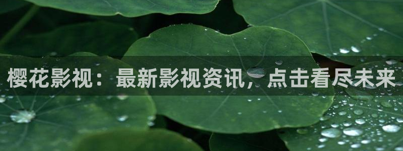 星空影视app下载