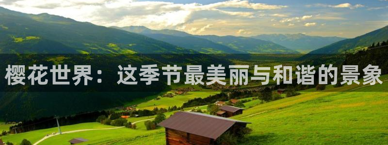 西瓜视频在线免费观看高清版
