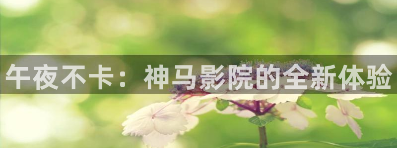 西瓜视频2024