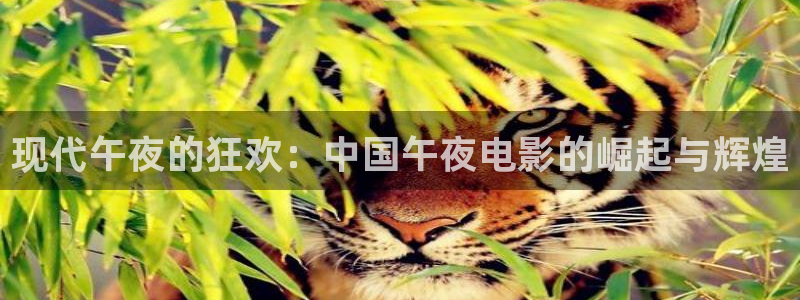 关于星空的歌曲