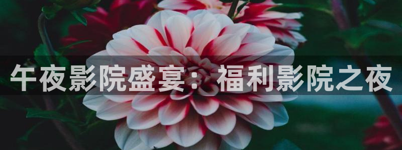 人民的名义全集免费播放在线观看西瓜视频