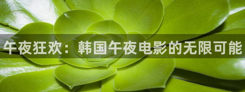 星空影视在线观看免费全集