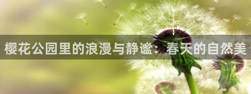星空影城今日放映