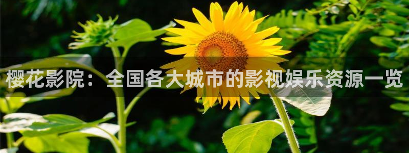 女海盗全集西瓜视频