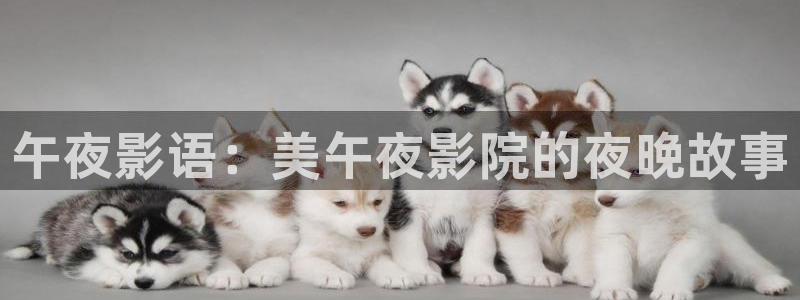 沉香如屑电视剧免费观看西瓜视频