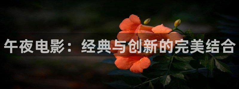 西瓜视频最新电视剧免费播放