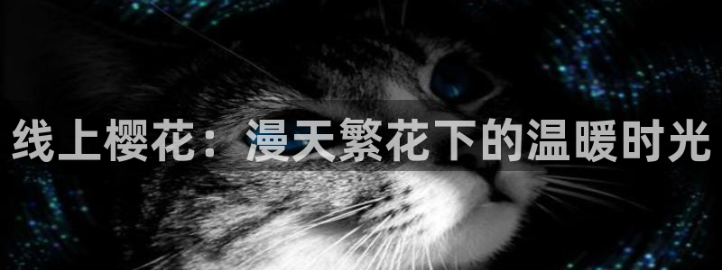 杀戮天使西瓜视频