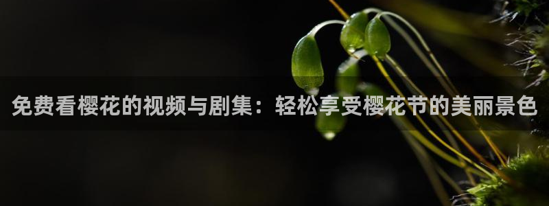 无限星空影视