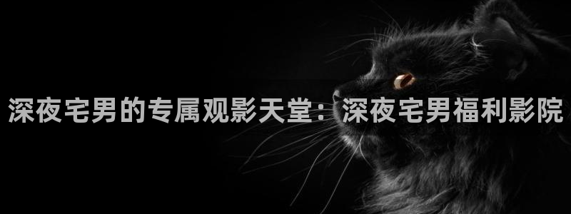 星空天美星空高清mv免费观看动漫