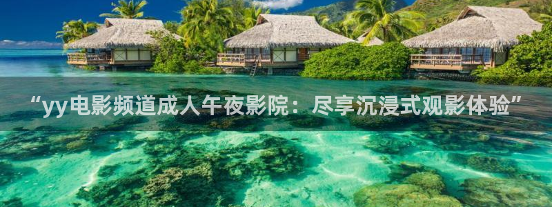 星空在线观看电影